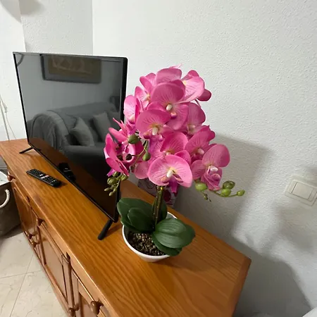 Apartment Estudio Mar En Calma, Primera Linea De Playa Con Vistas Al Mar